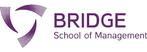 bridgesom-logo-big